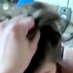 Pic of AMATEUR LESBIAN ORAL SEX - AmateurPorn