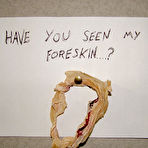 Pic of L'art du pr&eacute;puce version soft | SHOCKYOU