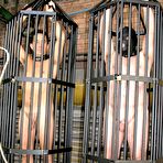 Pic of Two-Horse Race