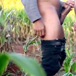 Pic of Hot anal fuck in a cornfield - Amateur Ana Chaude - AmateurPorn