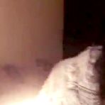 Pic of Real college amateur threesome porn in homemade movie - AmateurPorn