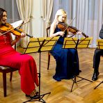 Pic of String Quartet Hard At Work And XXX Play - FAPCAT