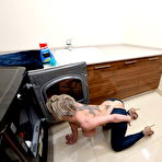 Pic of Dee Williams - Milfs Like It Big | BabeSource.com