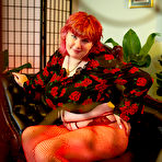 Pic of Rose Coloured - Daiquiri Rose