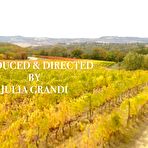 Pic of Tushy: Stunning Venera satisfies her anal DP fantasies on PornHD - AmateurPorn