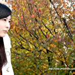 Pic of Free japanese amateur arisu ありす xxx pics gallery
