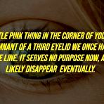 Pic of Misc. Stuff: Science factoids - Sexy and Funny Forums