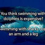 Pic of Misc. stuff #734 - Sexy and Funny Forums