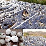 Pic of Misc. stuff #737 - Sexy and Funny Forums