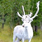 Pic of Misc. stuff #940 - Sexy and Funny Forums