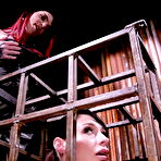 Pic of Caged Heat 2