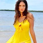 Pic of Shannon McMullen - Free pics, galleries & more at Babepedia