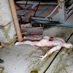 Pic of 3DX Joy | Updates tagged with blowjob