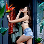 Pic of Hayli Sanders in Metart set Warm Welcome  . Hayli Sanders 