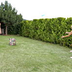 Pic of Frisky Frisbee