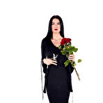 Pic of Kitty Slim Dark Brunette