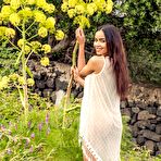 Pic of Isa Sweet nude in erotic VISIONS gallery - MetArt.com