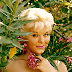 Pic of Donna Lynn Playmate for November 1959