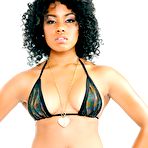 Pic of Sexy Suzette James from the South Beach Model Quest