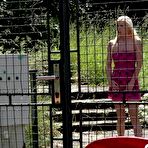 Pic of Natural blonde Ceca slides her panties aside to pee on the bleachers