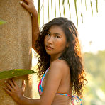 Pic of Exotic Niki