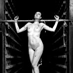Pic of Club Rope Marks featuring Dutch Dame, Studio 3 Sex Pictures