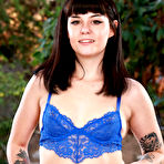 Pic of Nova Vixen in Blue Lace Lingerie at ATK Galleria - Free Naked Picture Gallery at Nudems