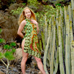 Pic of Alice Blue in Desert Heat at MetArt - Free Naked Picture Gallery at Nudems