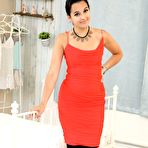 Pic of Summer Fox only-opaques