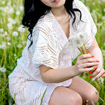 Pic of Sasha Jane in Dandelions at MetArt - Free Naked Picture Gallery at Nudems
