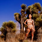 Pic of Lucid Flix - Earth