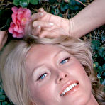 Pic of Sharon Johansen in October Playboy Playmate Of The Month 1972 - Free Naked Picture Gallery at Nudems