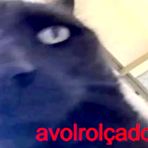 Pic of Brasileira Preta Dando O Cu Na Obra - EPORNER