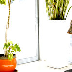 Pic of Netvideogirls - 18 In LA