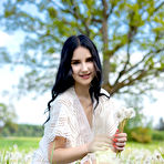 Pic of Sasha Jane Nude in Dandelions by Tora Ness | Erotic MetArt