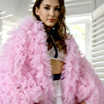 Pic of Ellie Luna in Perfectly Styled at Playboy - Direct Stripper