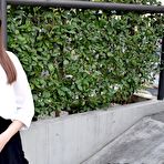 Pic of JavHub - Aoi Miyama